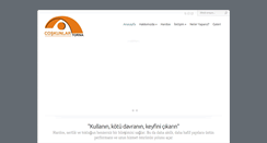 Desktop Screenshot of coskunlartorna.com