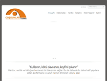 Tablet Screenshot of coskunlartorna.com
